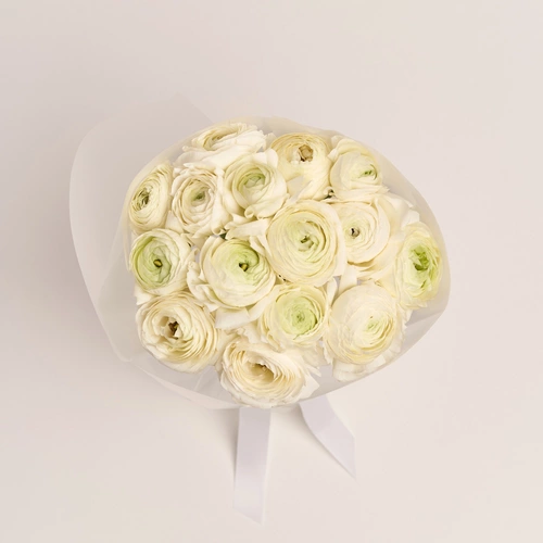 Product image Bouquet 15 White Ranunculuses, packaging: Transparent, vendor code: 3473