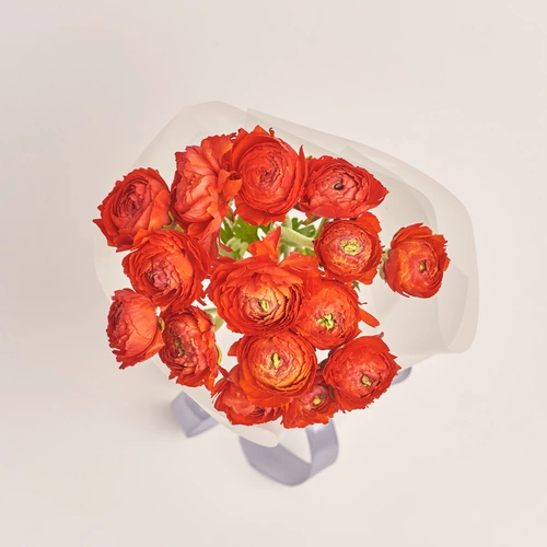 Product image Bouquet 15 Red Ranunculuses, packaging: Transparent, vendor code: 3474