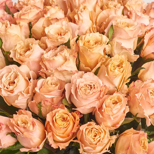 Product image Bouquet of 51 Shimmer Roses, packaging: Peach, vendor code: 3486
