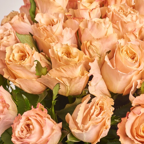 Зображення товару Букет 25 Троянд Шиммер, пакування: Градієнт тіффані, артикул: 3487