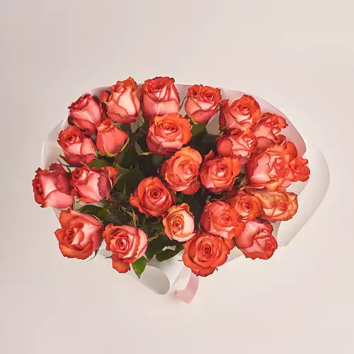 Product image Bouquet of 25 Iguana Roses, packaging: White, vendor code: 3488