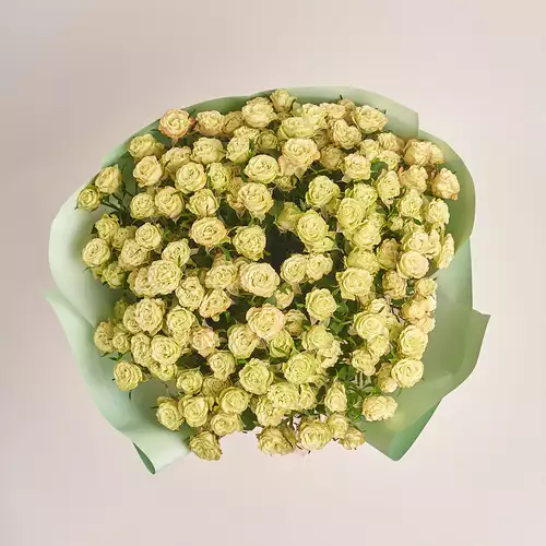 Изображение товара Букет 25 Зеленых Роз Спрей, упаковка: Градиент тиффани, артикул: 3489