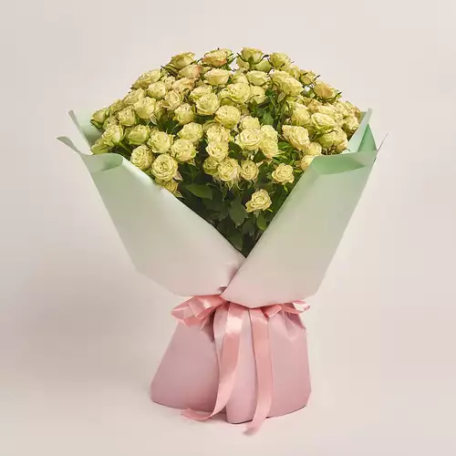 Product image Bouquet of 25 Green Spray Roses, packaging: Gradiens tiffany, vendor code: 3489