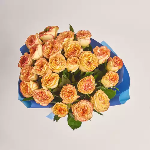 Product image Bouquet of 25 Aruba Roses, packaging: Gradiens blue, vendor code: 3491