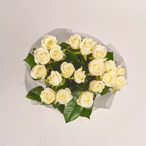 Product image Bouquet of 19 Beluga Roses, packaging: Transparent, vendor code: 3493