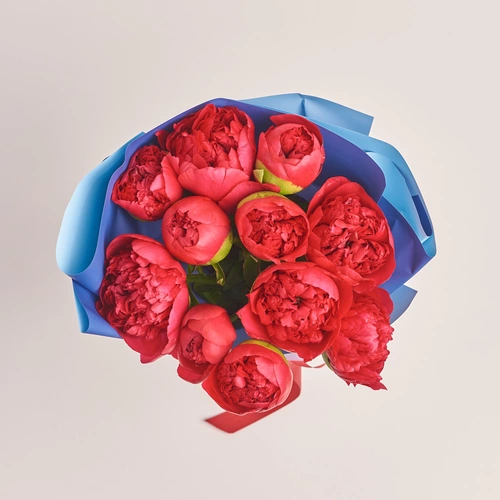Product image Bouquet of 11 Crimson Peonies, packaging: Gradiens blue, vendor code: 3494