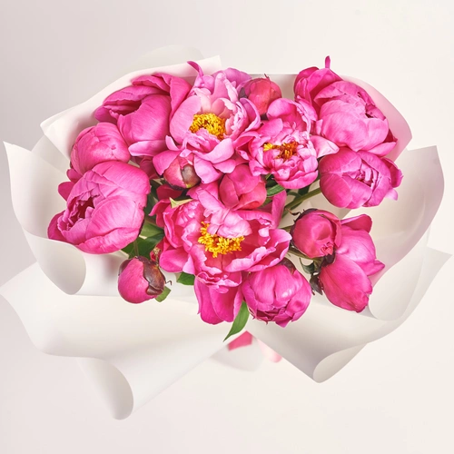 Изображение товара Букет 15 Малиновых Пионов, упаковка: Белая, артикул: 3495