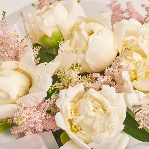 Зображення товару Букет 5 Білих Півоній та Астільба, пакування: Прозора, артикул: 3496