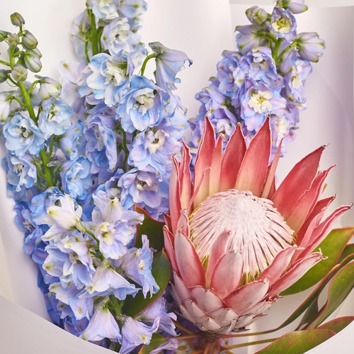 Product image Bouquet of 1 Protea аnd Delphiniums, packaging: White, vendor code: 3498