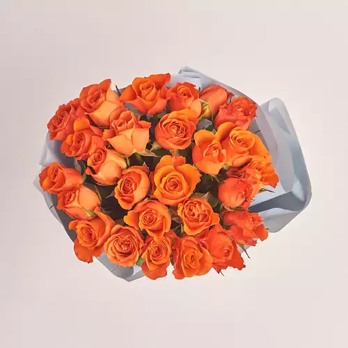 Product image Bouquet of 25 Terracotta Roses, packaging: Gray, vendor code: 3500