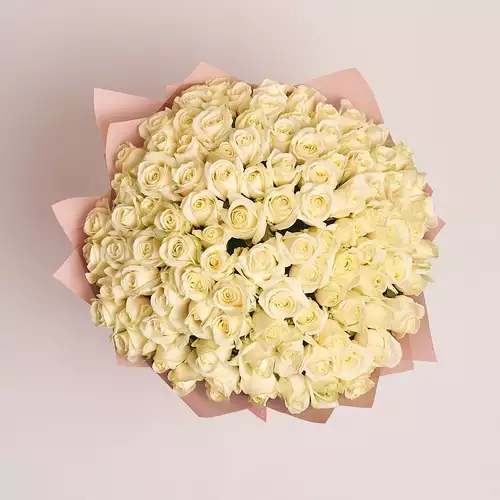 Изображение товара Букет 101 Белая Роза, упаковка: Пудровая, артикул: 2079