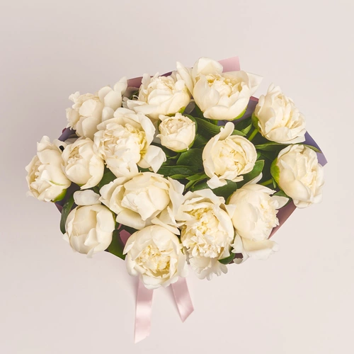 Product image Bouquet of 15 Cream Peonies, packaging: Gradiens violet, vendor code: 3501