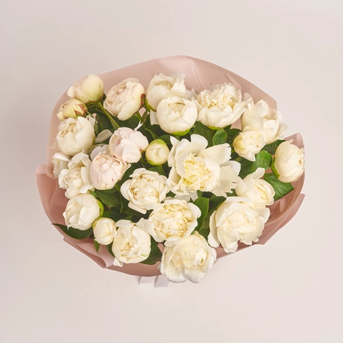 Product image Bouquet of 25 Cream Peonies, packaging: Powder, vendor code: 3502