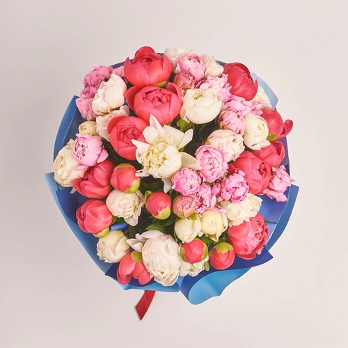 Product image Bouquet of 51 Bright Peonies mix, packaging: Gradiens blue, vendor code: 3504