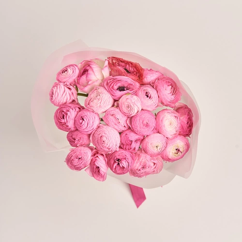 Product image Bouquet 25  Bright Pink Ranunculuses, packaging: Transparent, vendor code: 3506