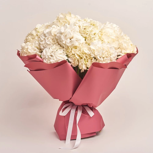 Product image Bouquet of 21 White Hydrangeas, packaging: Coral, vendor code: 3509