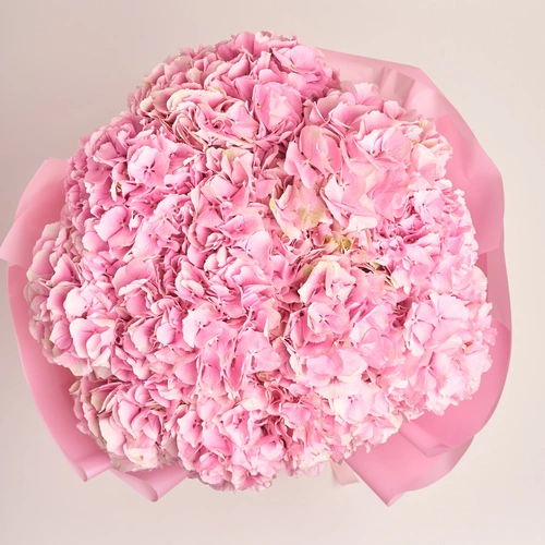 Product image Bouquet of 15 Pink Hydrangeas, packaging: Pink, vendor code: 3510