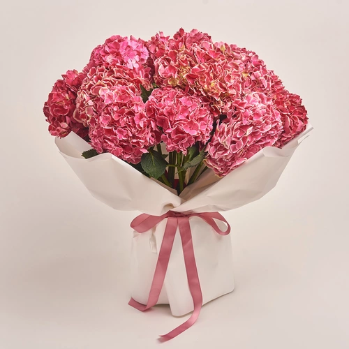 Product image Bouquet of 15 Crimson Hydrangeas Bicolor, packaging: White, vendor code: 3511