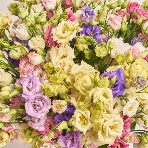 Product image Box of 51 Eustoma Mix, packaging: Pink, vendor code: 3512