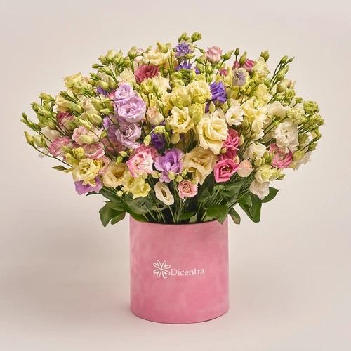 Product image Box of 51 Eustoma Mix, packaging: Pink, vendor code: 3512