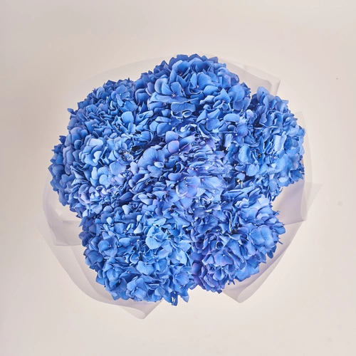 Product image Bouquet of 7 Blue Hydrangeas, packaging: Transparent, vendor code: 3513