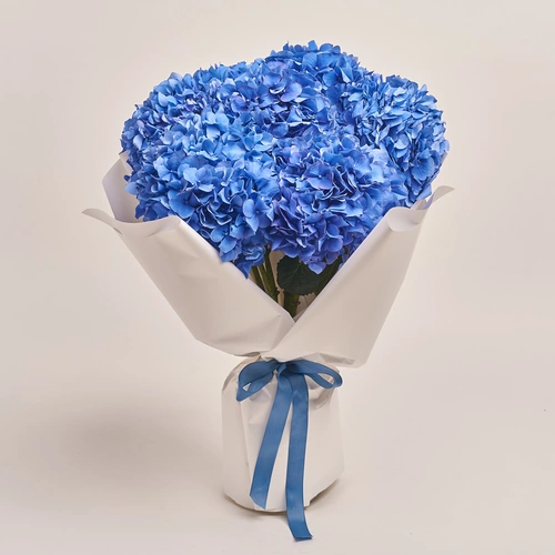 Product image , vendor code: 