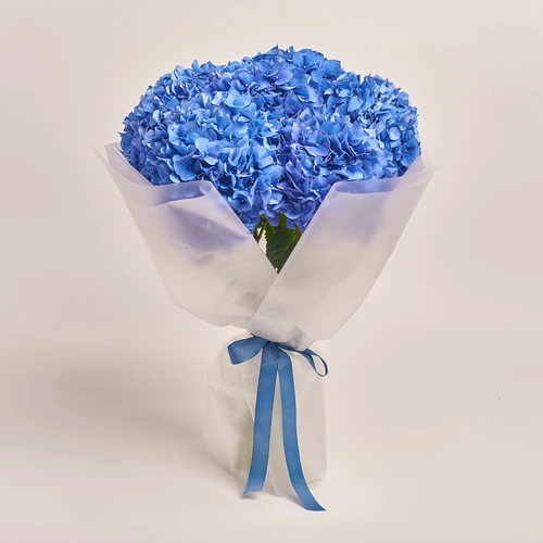 Product image Bouquet of 7 Blue Hydrangeas, packaging: Transparent, vendor code: 3513