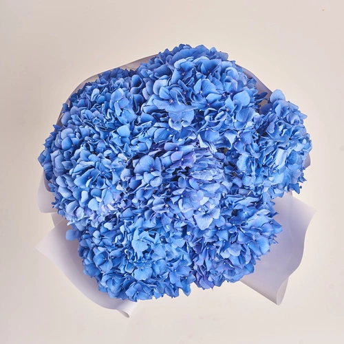 Product image Bouquet of 7 Blue Hydrangeas, packaging: White, vendor code: 3513