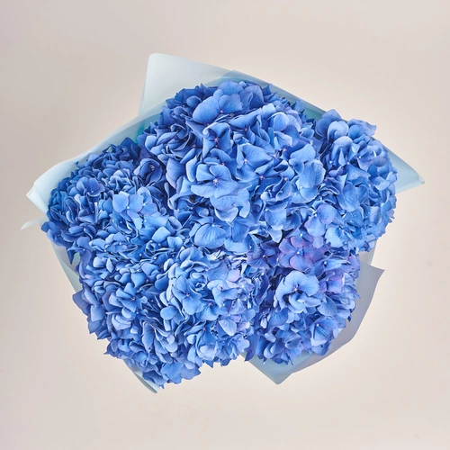 Product image Bouquet of 5 Blue Hydrangeas, packaging: Blue, vendor code: 3514