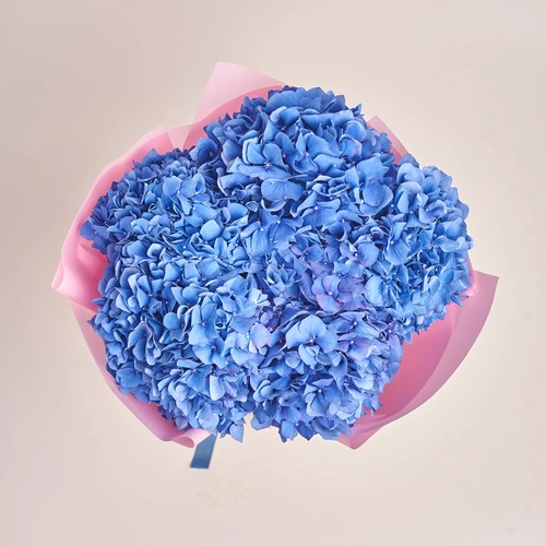 Product image Bouquet of 5 Blue Hydrangeas, packaging: Pink, vendor code: 3514