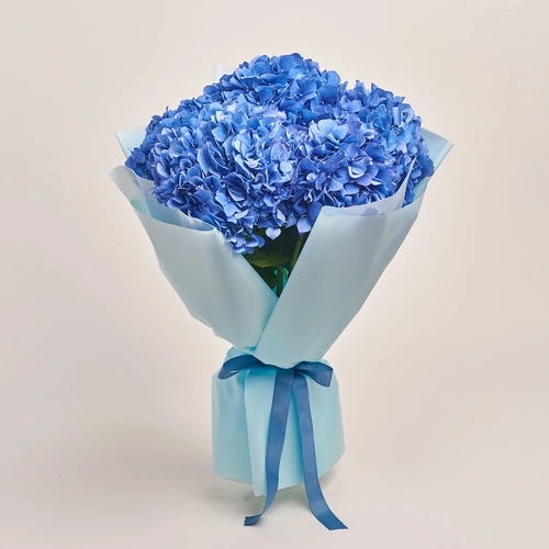 Product image , vendor code: 