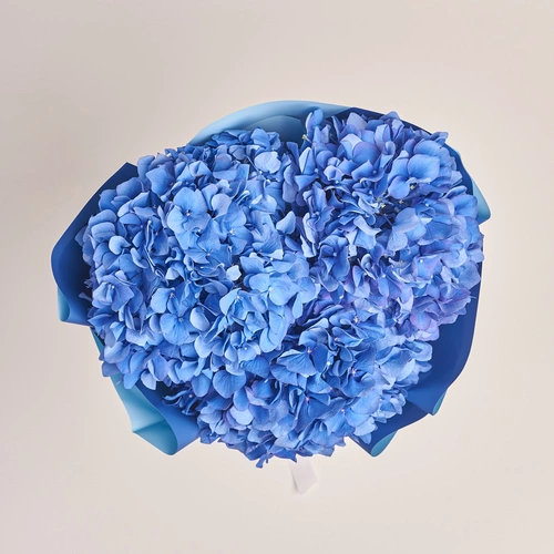Product image Bouquet of 3 Blue Hydrangeas, packaging: Gradiens blue, vendor code: 3515