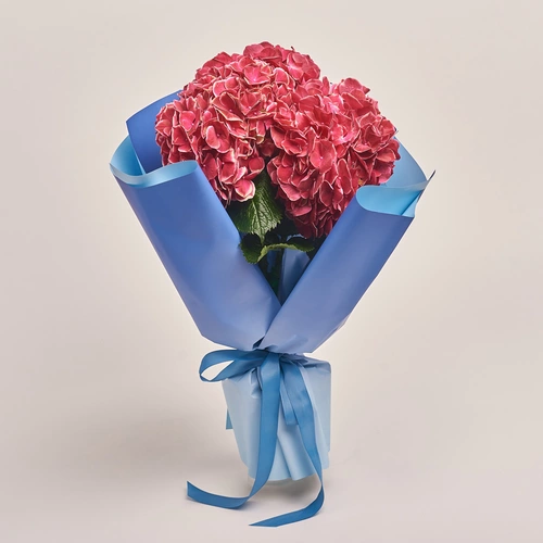 Product image Bouquet of 3 Crimson Hydrangeas Bicolor, packaging: Gradiens blue, vendor code: 3517