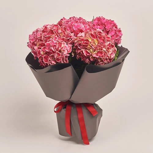 Product image Bouquet of 7 Crimson Hydrangeas Bicolor, packaging: 
Graphite, vendor code: 3518