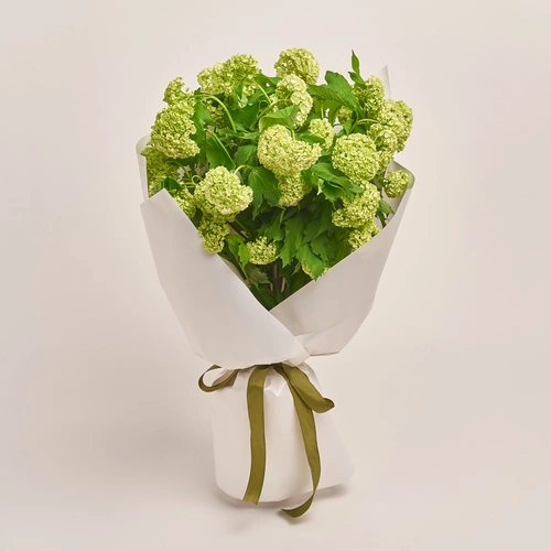 Product image Bouquet of 9 Viburnums, packaging: White, vendor code: 3521