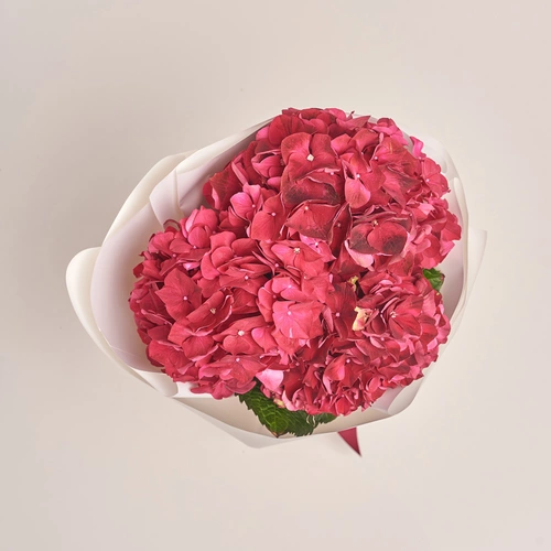 Product image Bouquet of 3 Red Hydrangeas, packaging: White, vendor code: 3523