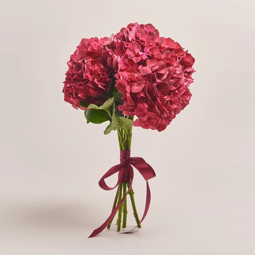 Зображення товару Букет 7 Червоних Гортензій, пакування: Прозора, артикул: 3524