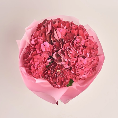 Зображення товару Букет 7 Червоних Гортензій, пакування: Прозора, артикул: 3524
