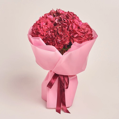 Зображення товару Букет 7 Червоних Гортензій, пакування: Прозора, артикул: 3524