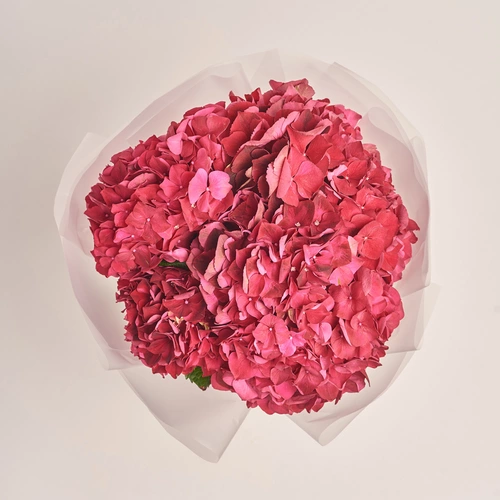 Product image Bouquet of 7 Red Hydrangeas, packaging: Transparent, vendor code: 3524