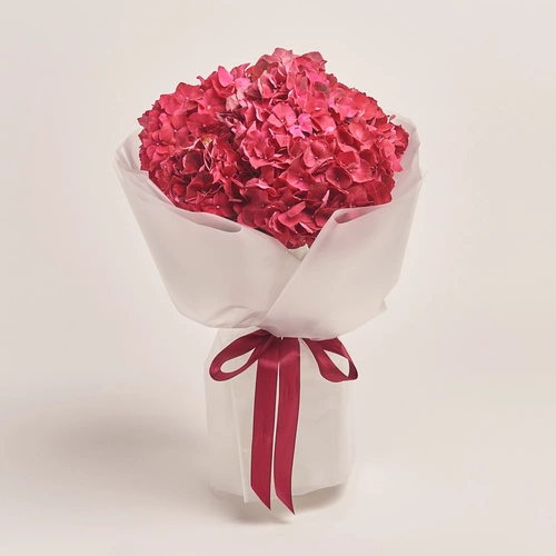 Product image Bouquet of 7 Red Hydrangeas, packaging: Transparent, vendor code: 3524