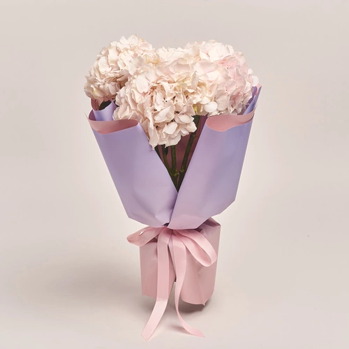 Product image Bouquet of 3 Light Pink Hydrangeas, packaging: Gradiens violet, vendor code: 3525