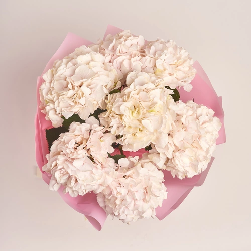 Product image Bouquet of 7 Light Pink Hydrangeas, packaging: Pink, vendor code: 3526