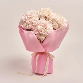 Bouquet of 7 Light Pink Hydrangeas