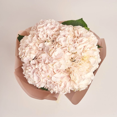 Product image Bouquet of 9 Light Pink Hydrangeas, packaging: Powder, vendor code: 3527