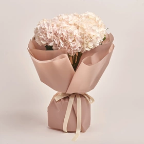 Bouquet of 9 Light Pink Hydrangeas