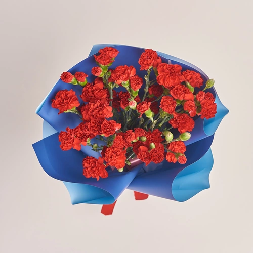 Зображення товару Букет 19 Червоних Гвоздик Спрей, пакування: Градієнт синій, артикул: 3528