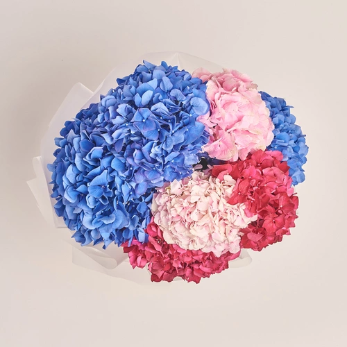 Product image Bouquet of 7 Bright Hydrangeas mix, packaging: Transparent, vendor code: 3529
