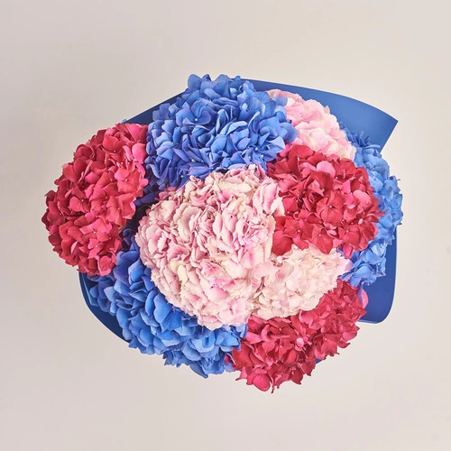 Product image Bouquet of 9 Bright Hydrangeas mix, packaging: Gradiens blue, vendor code: 3531