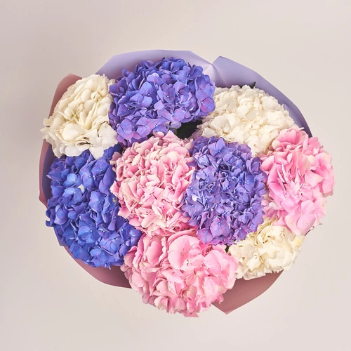 Product image Bouquet of 9 Pastel Hydrangeas mix, packaging: Gradiens violet, vendor code: 3532